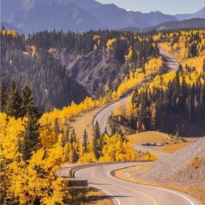 Meet your Posher, Simi